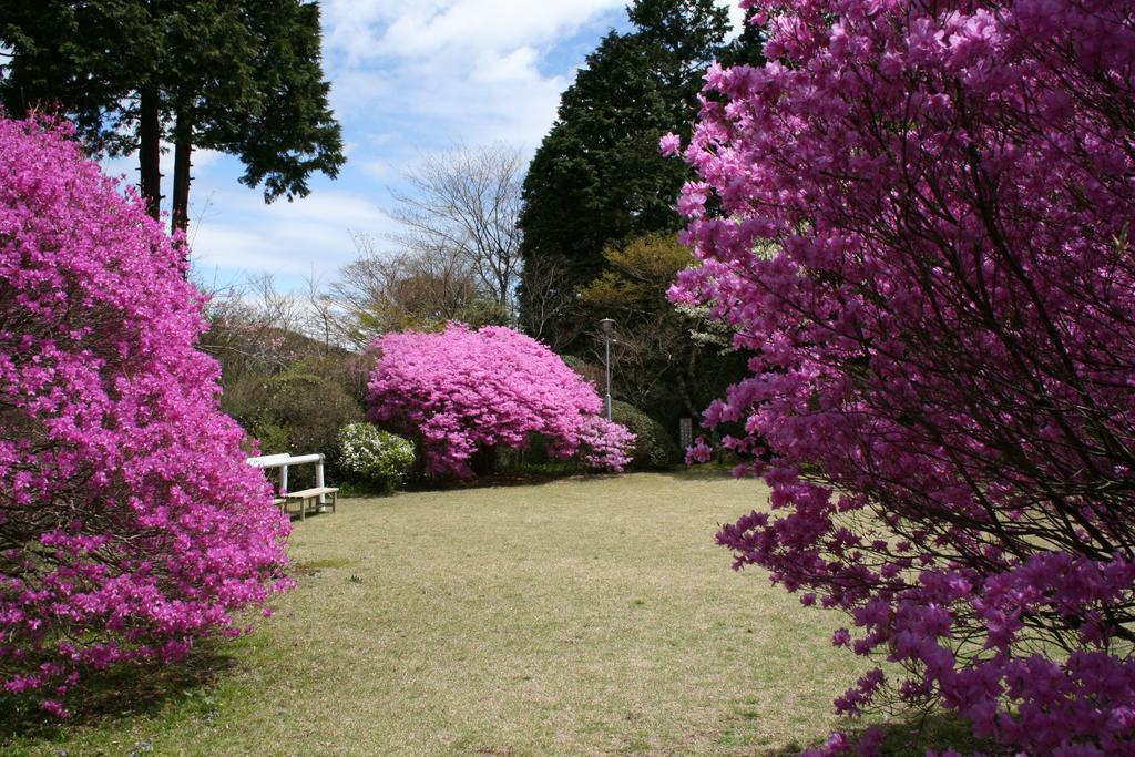 Senkyoro Hotell Hakone Exteriör bild