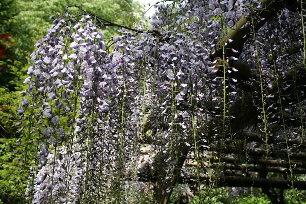 Senkyoro Hotell Hakone Exteriör bild