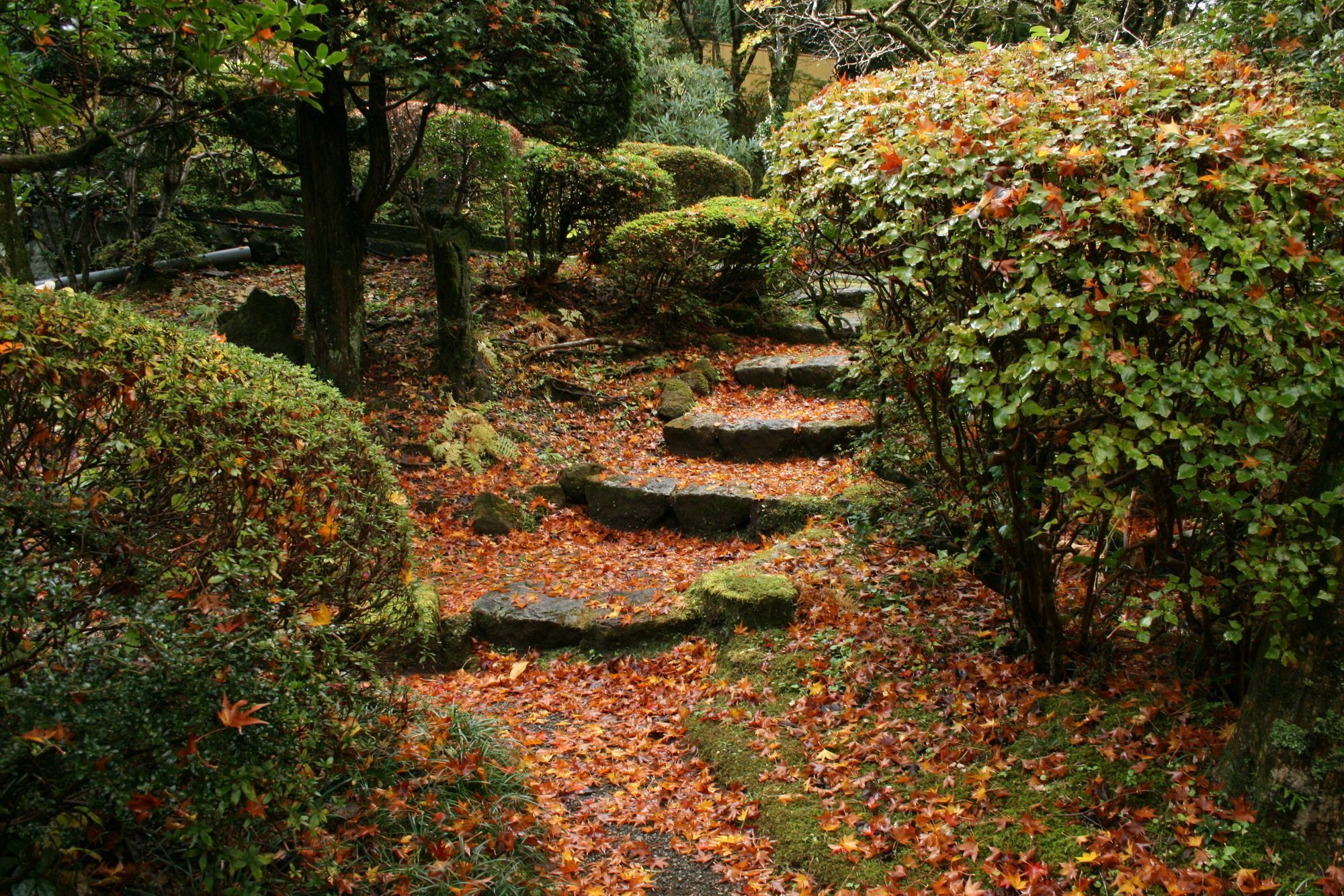 Senkyoro Hotell Hakone Exteriör bild