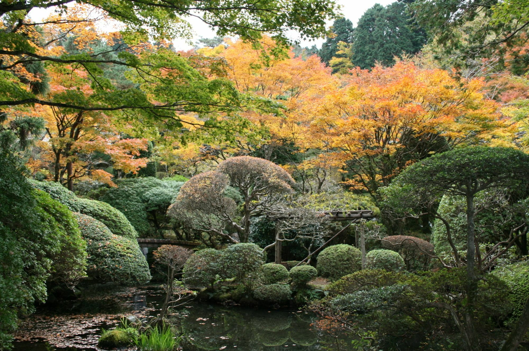 Senkyoro Hotell Hakone Exteriör bild