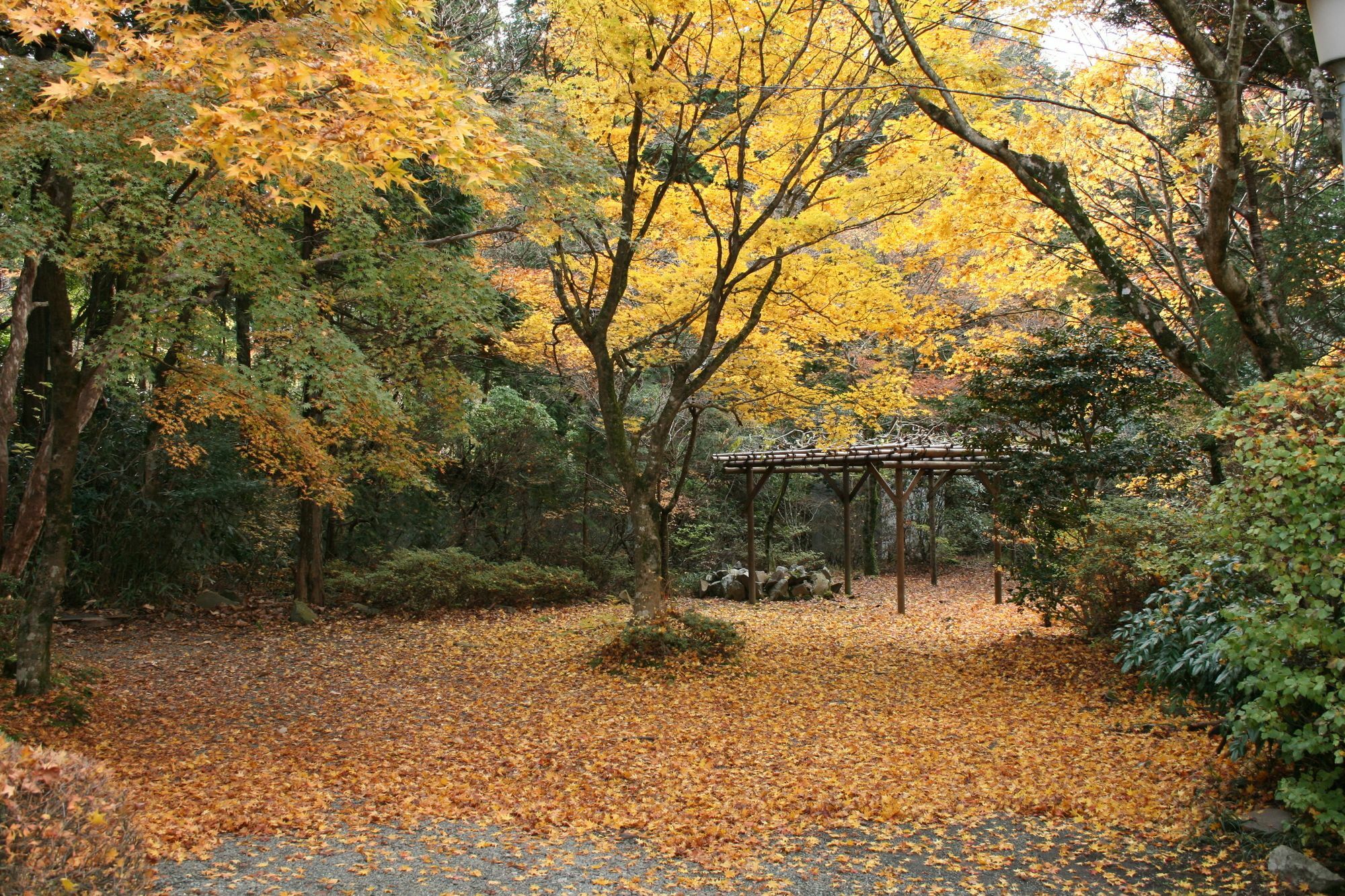 Senkyoro Hotell Hakone Exteriör bild