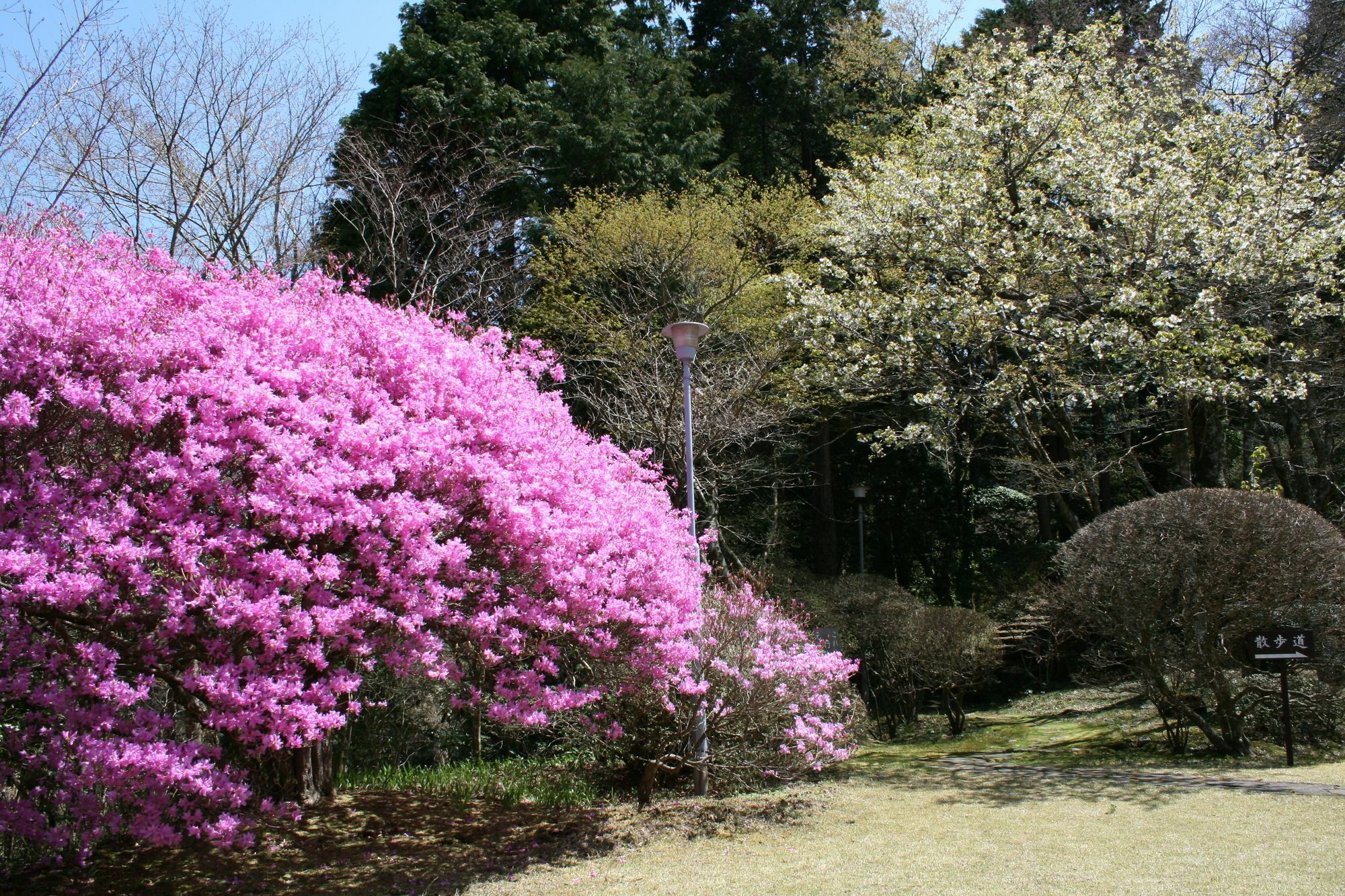 Senkyoro Hotell Hakone Exteriör bild